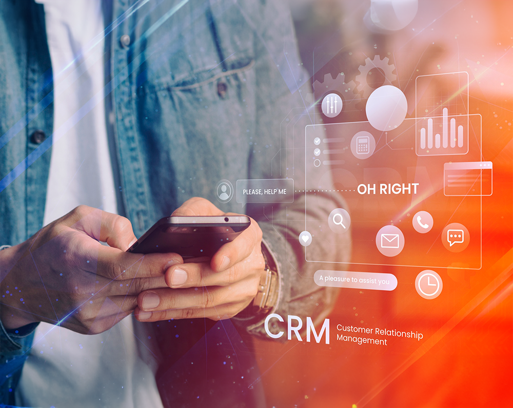 CRM Consulting Services Thumbnail